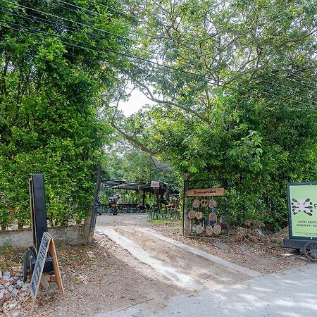 Ayenda Flora Jaguar Bed & Breakfast Ibague Ngoại thất bức ảnh
