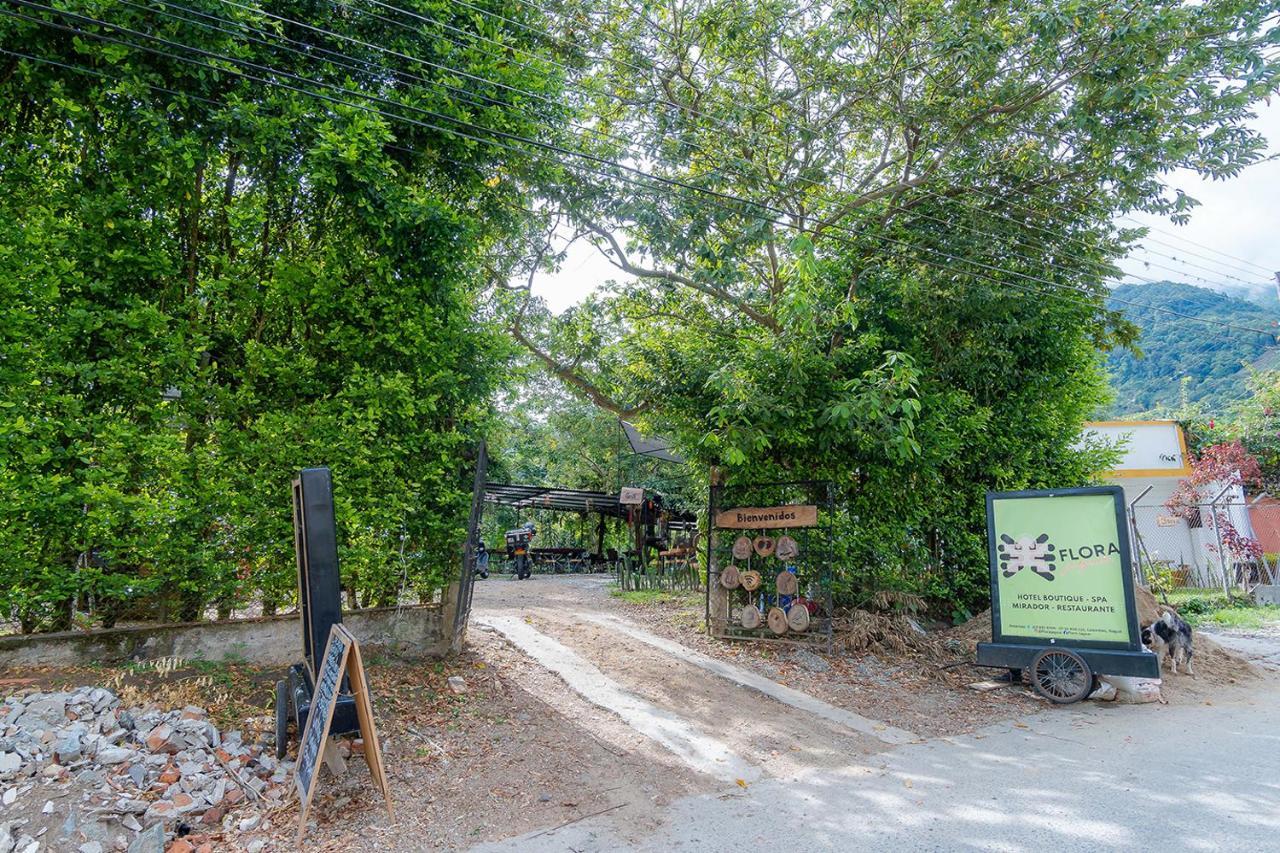 Ayenda Flora Jaguar Bed & Breakfast Ibague Ngoại thất bức ảnh